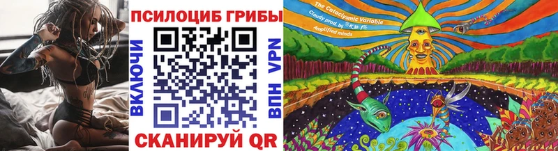 Галлюциногенные грибы Psilocybe  хочу наркоту  Мирный 
